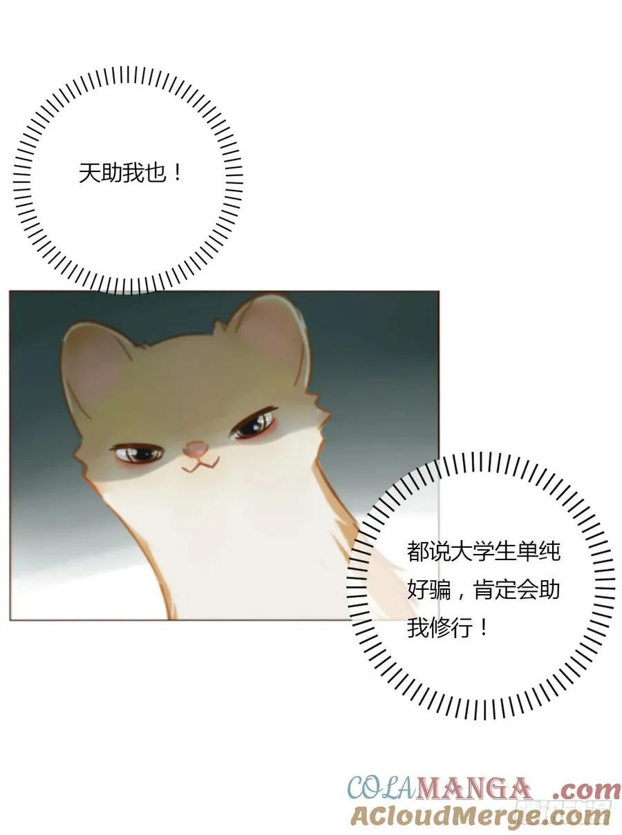 一四一章 叶梓 第3页