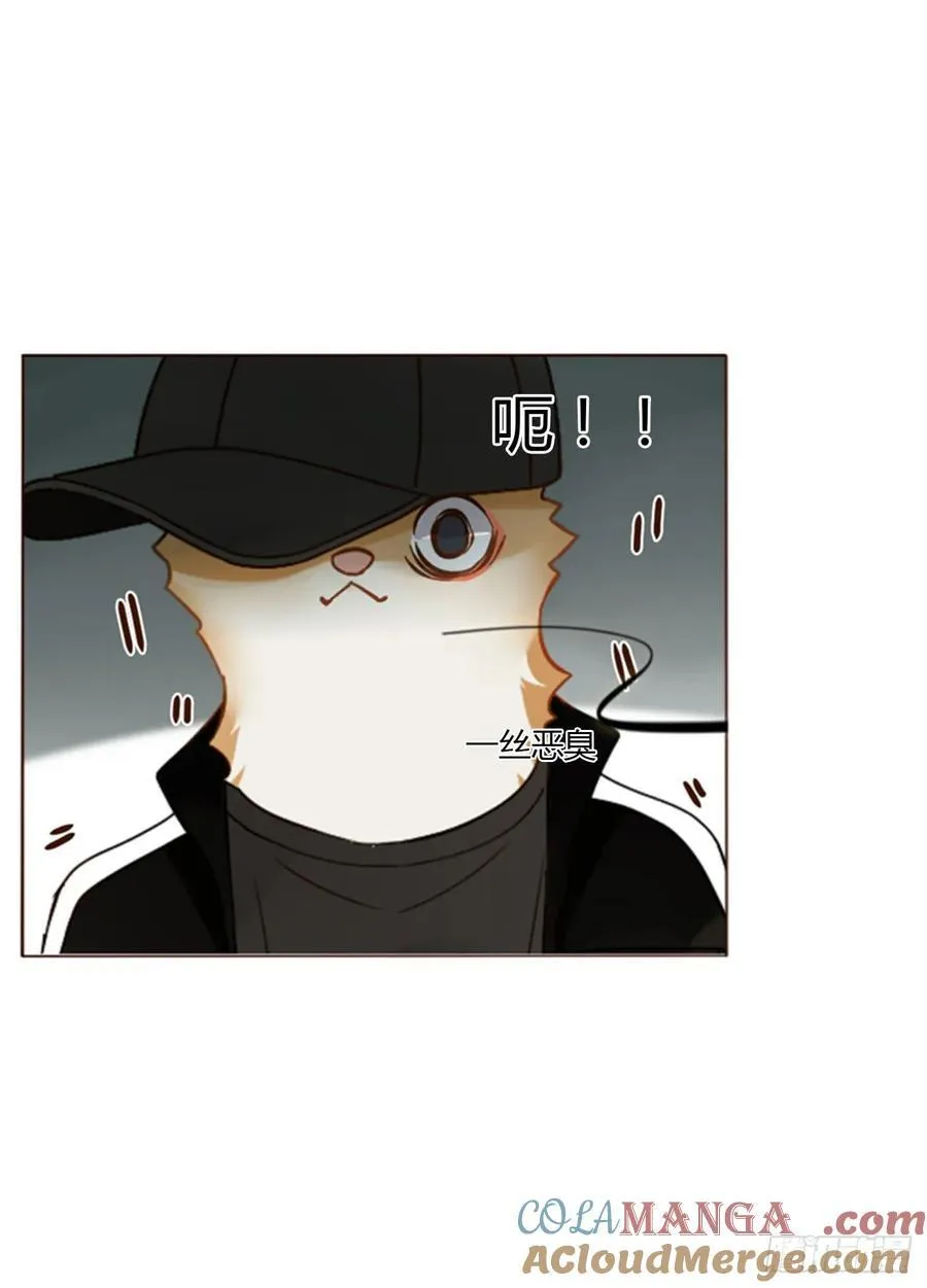 一四一章 叶梓 第7页