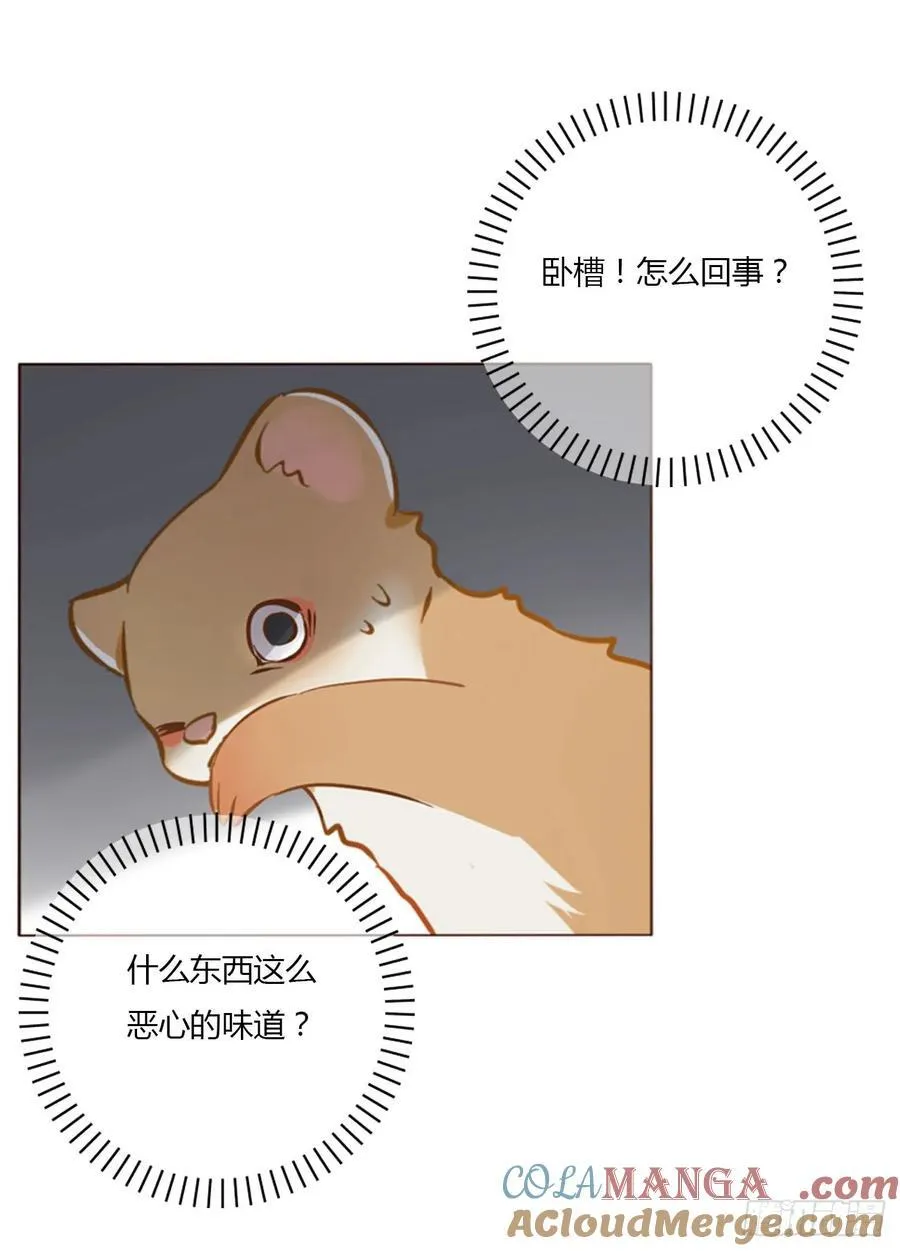 一四一章 叶梓 第9页