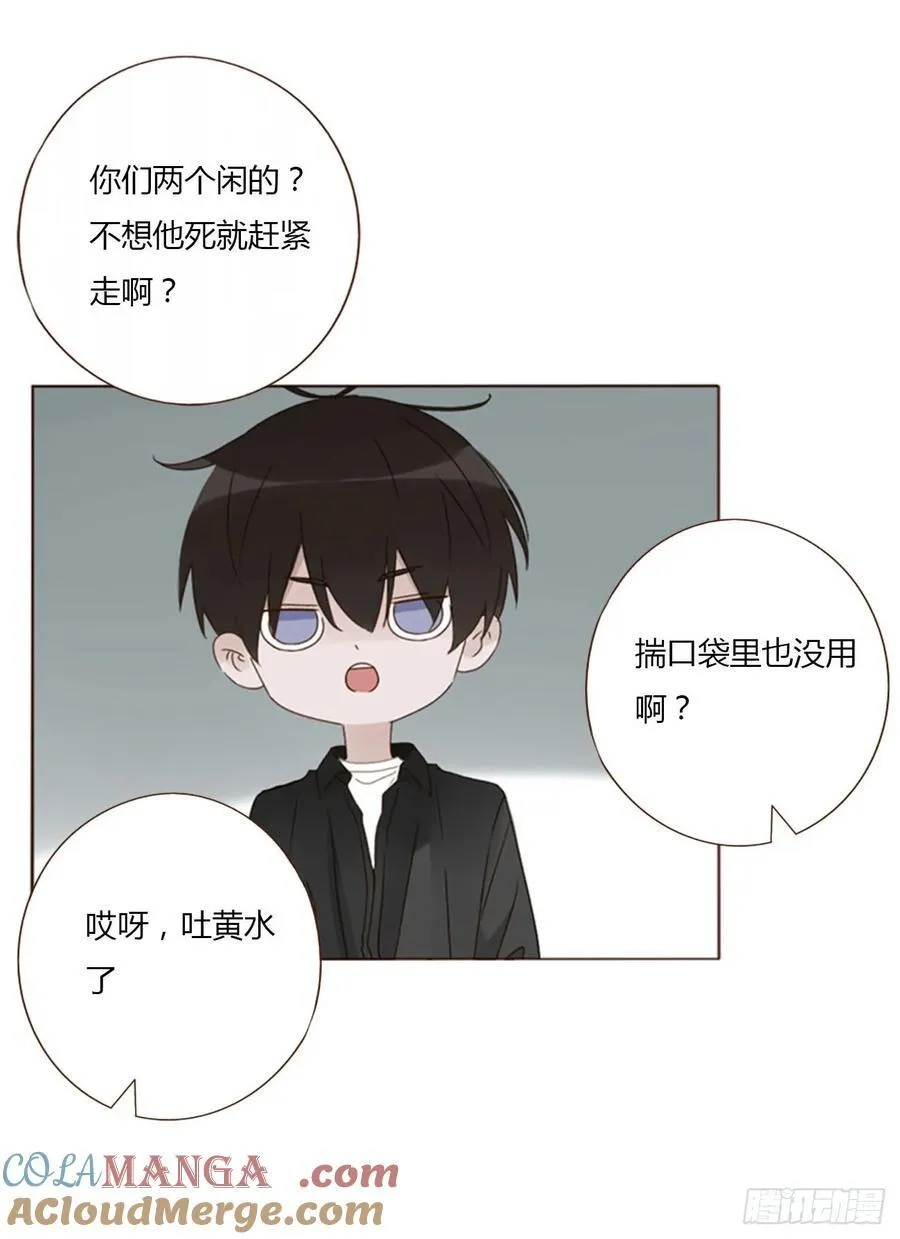 一四一章 叶梓 第13页