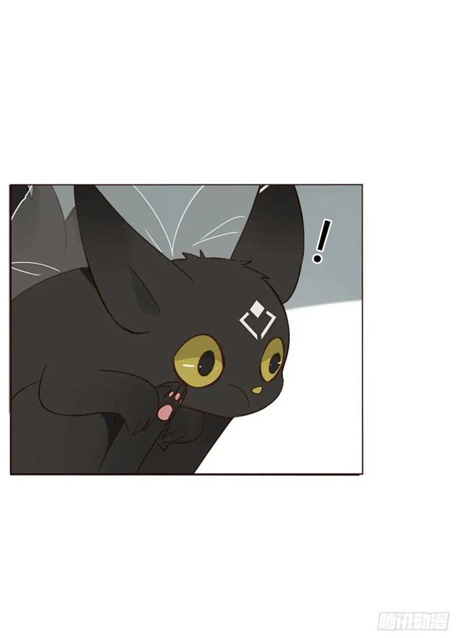 一四二章 六爷爷 第4页