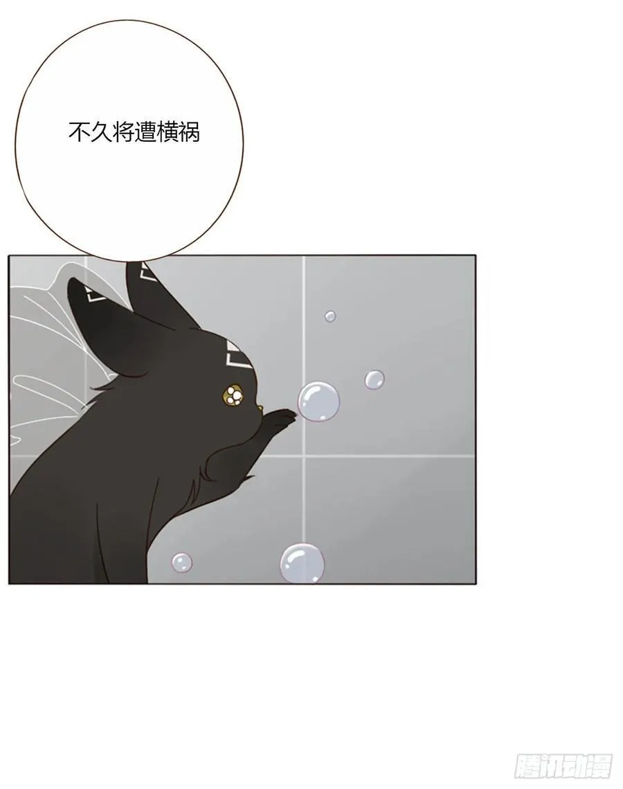 一四二章 六爷爷 第14页