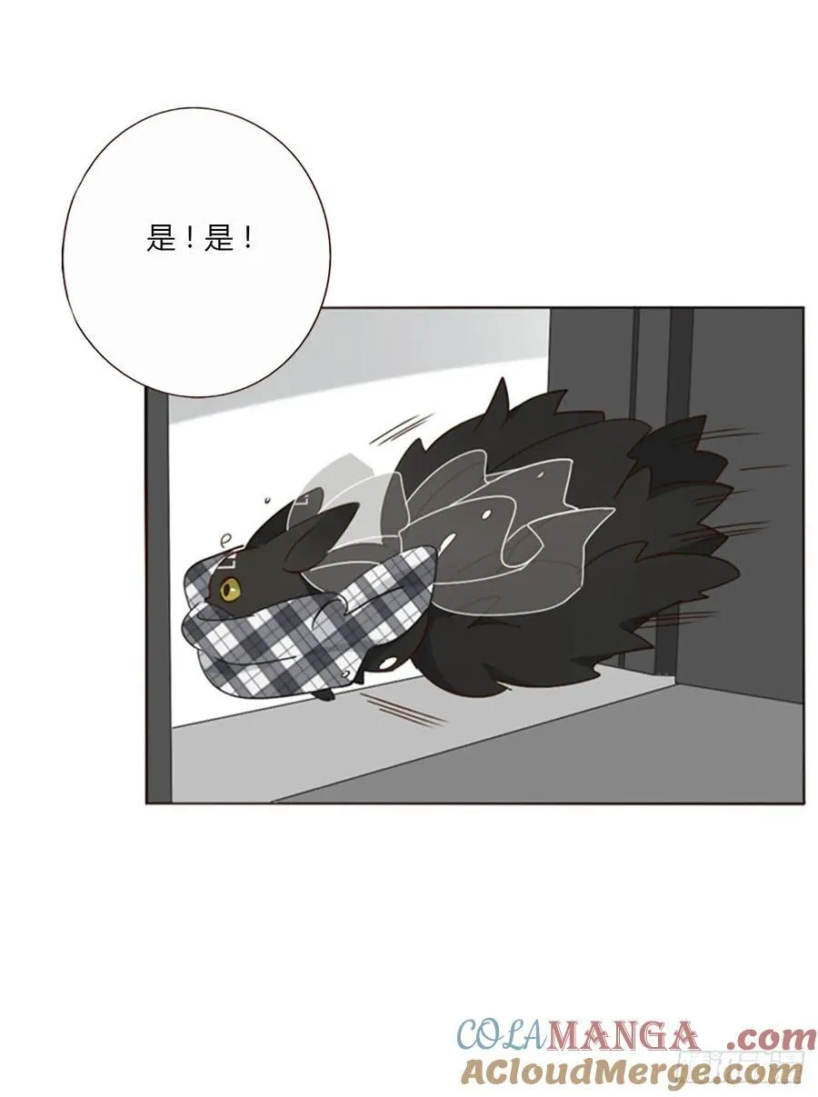 一四二章 六爷爷 第19页