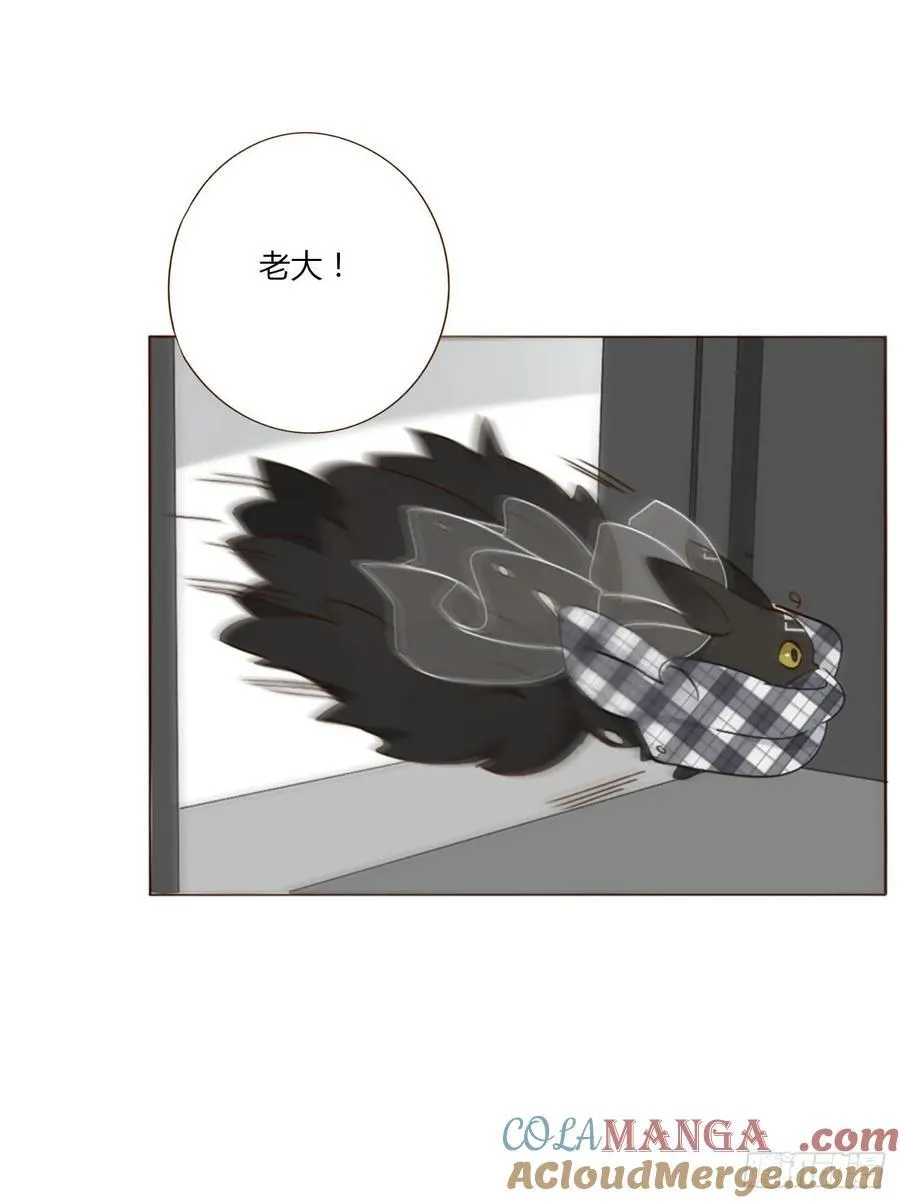 一四二章 六爷爷 第27页
