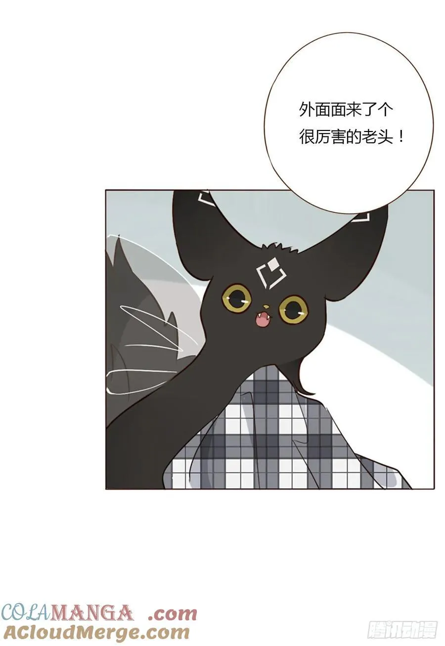 一四二章 六爷爷 第29页