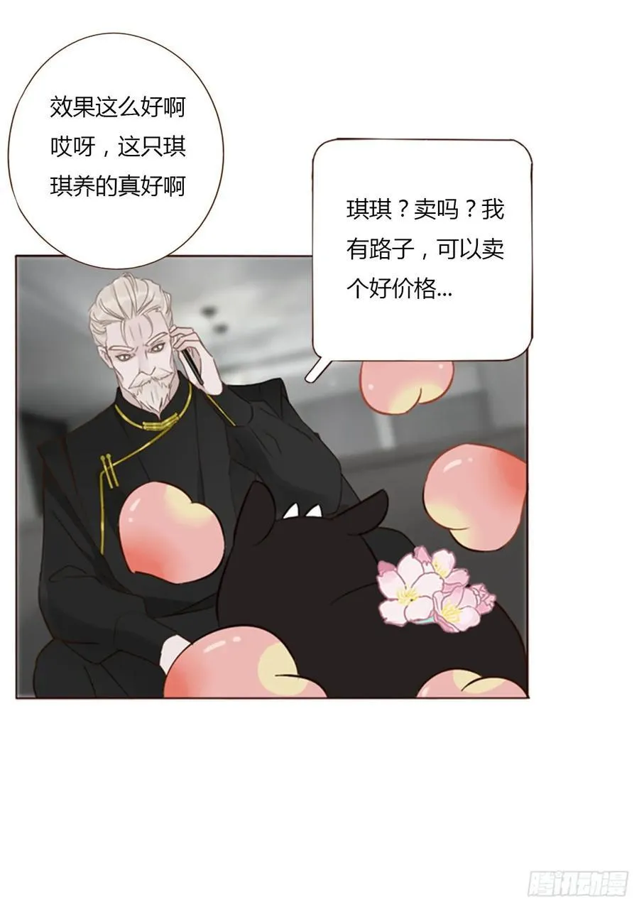 一四三章 魂术 第8页