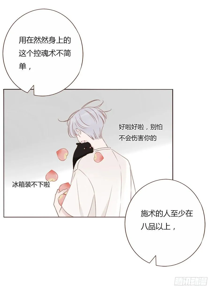 一四三章 魂术 第18页