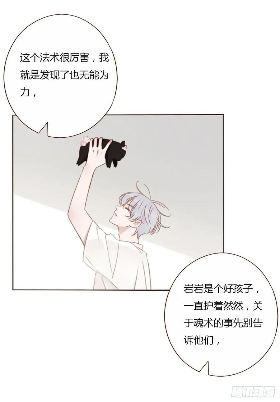 一四三章 魂术 第24页
