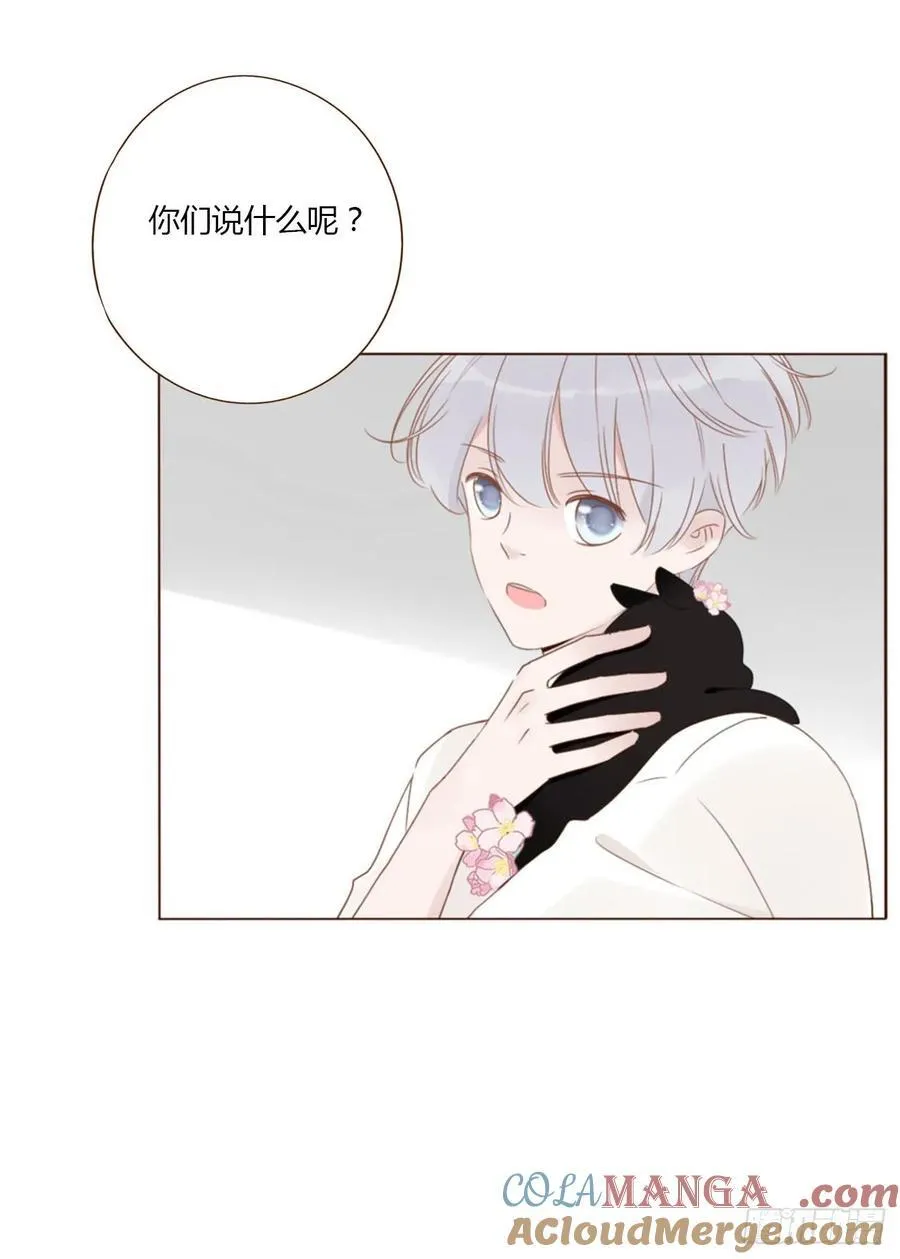 一四三章 魂术 第25页