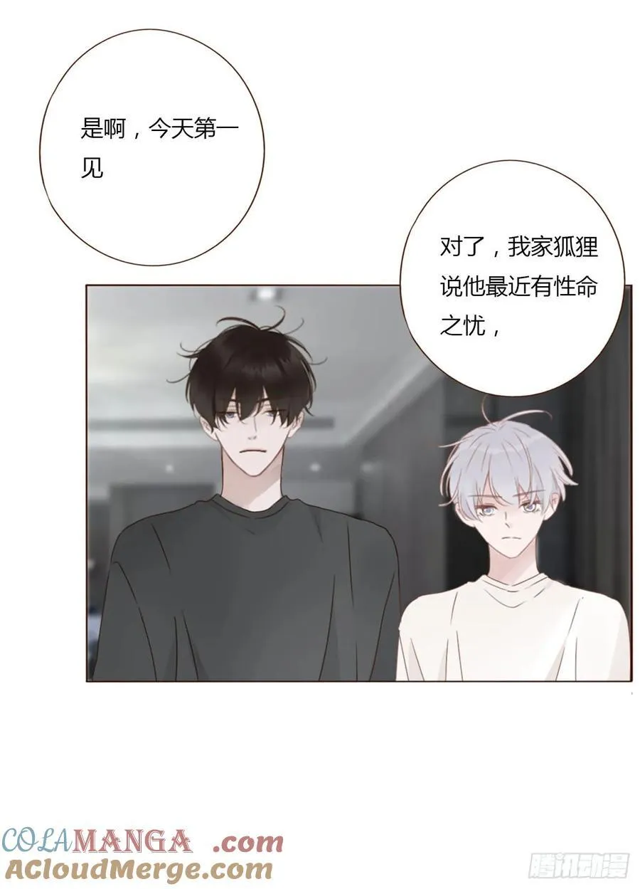 一四三章 魂术 第31页