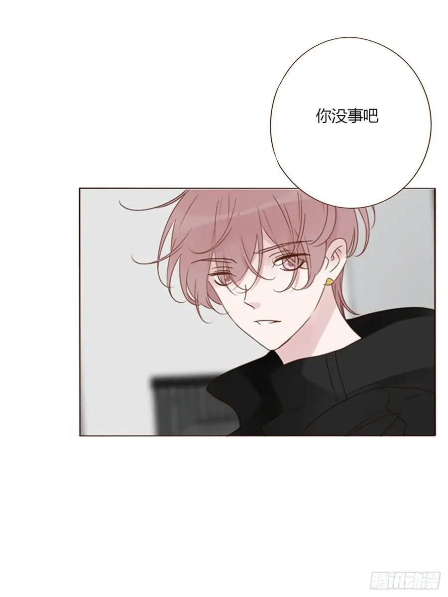 一四四章 小碗 第4页