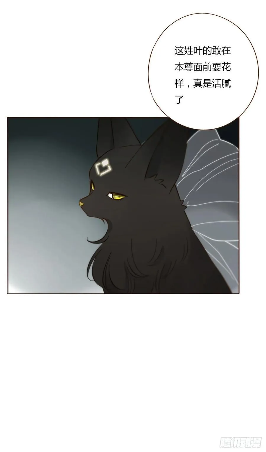 一四四章 小碗 第40页