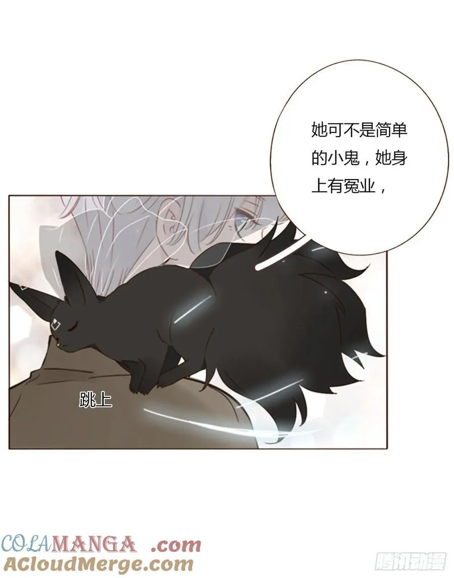 一四五章 小碗2 第3页
