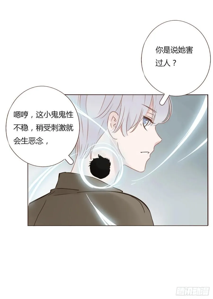 一四五章 小碗2 第4页