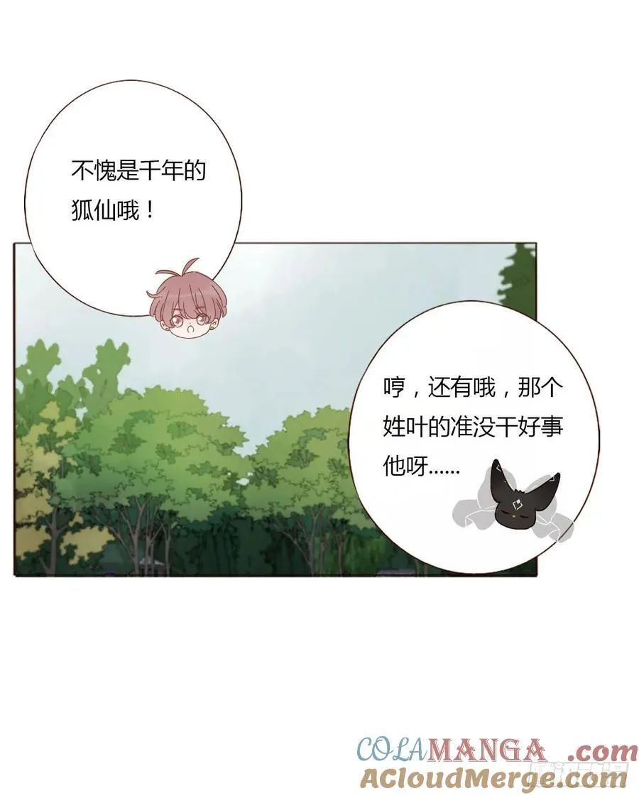 一四五章 小碗2 第7页