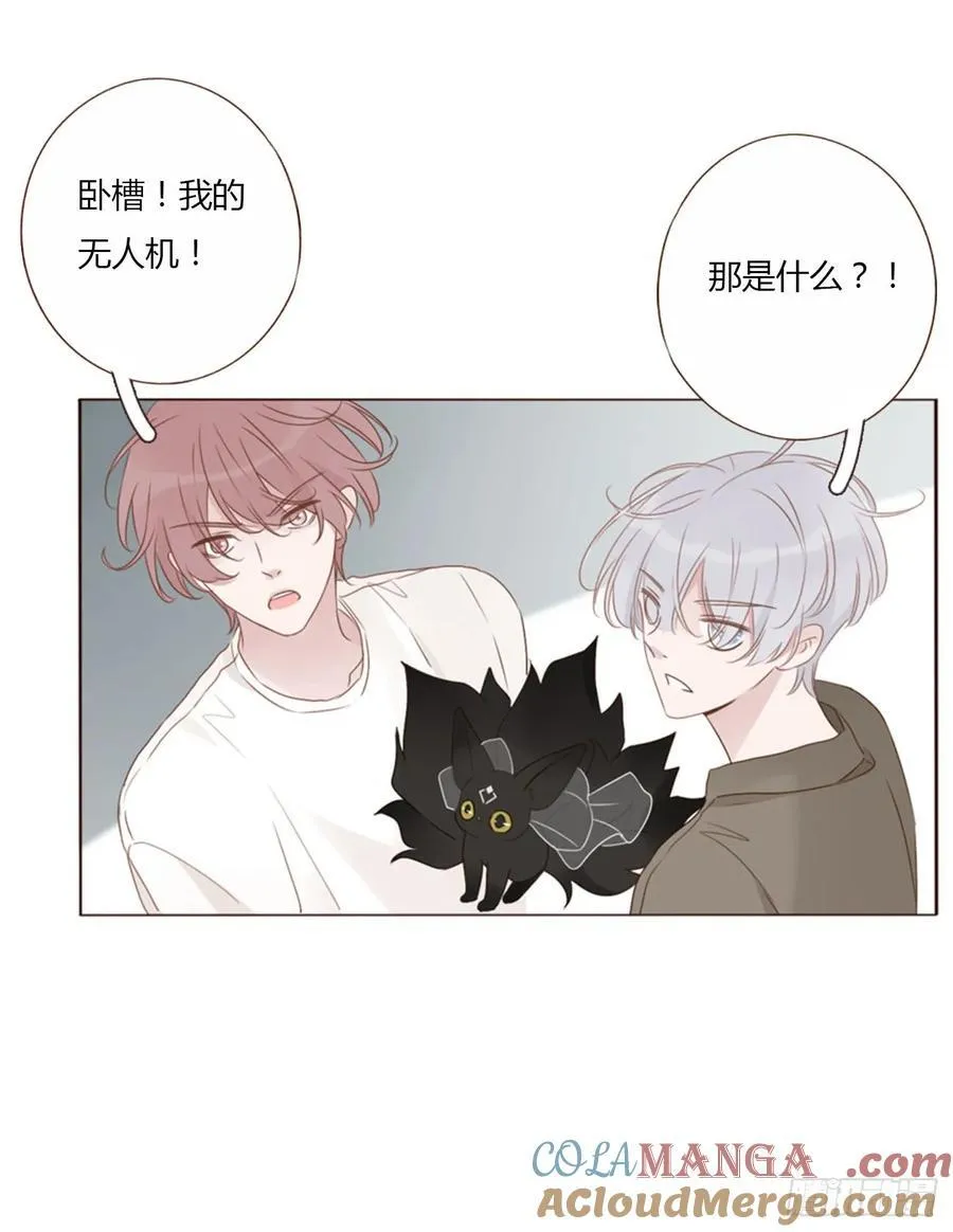 一四五章 小碗2 第33页
