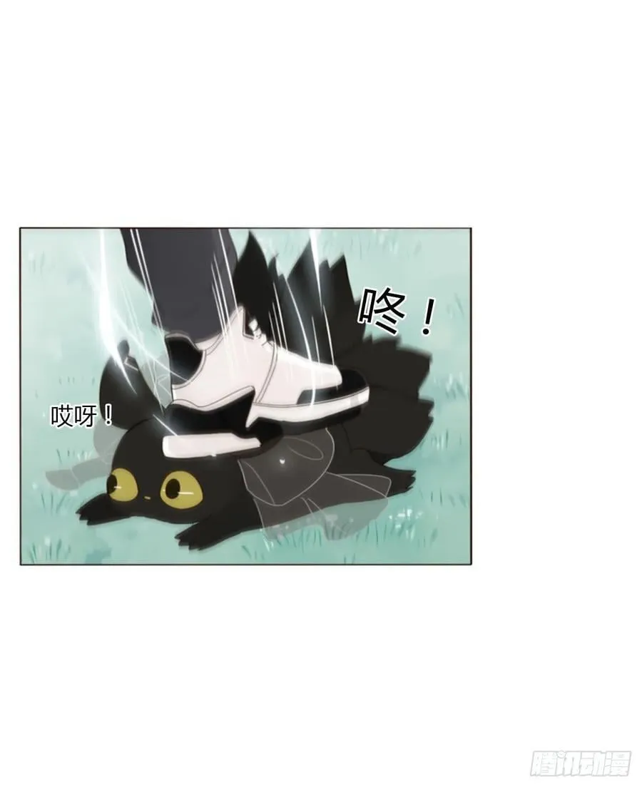 一四五章 小碗2 第36页