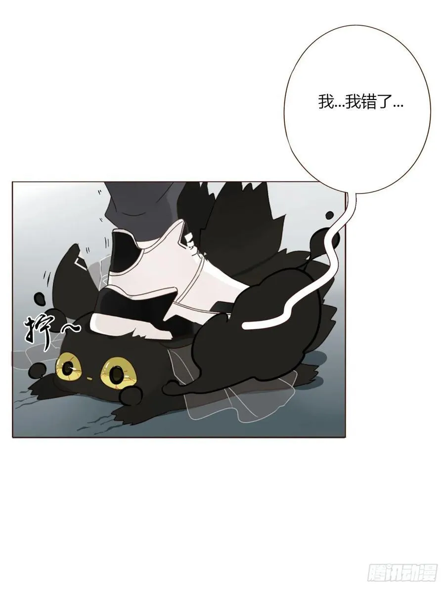 一四五章 小碗2 第38页