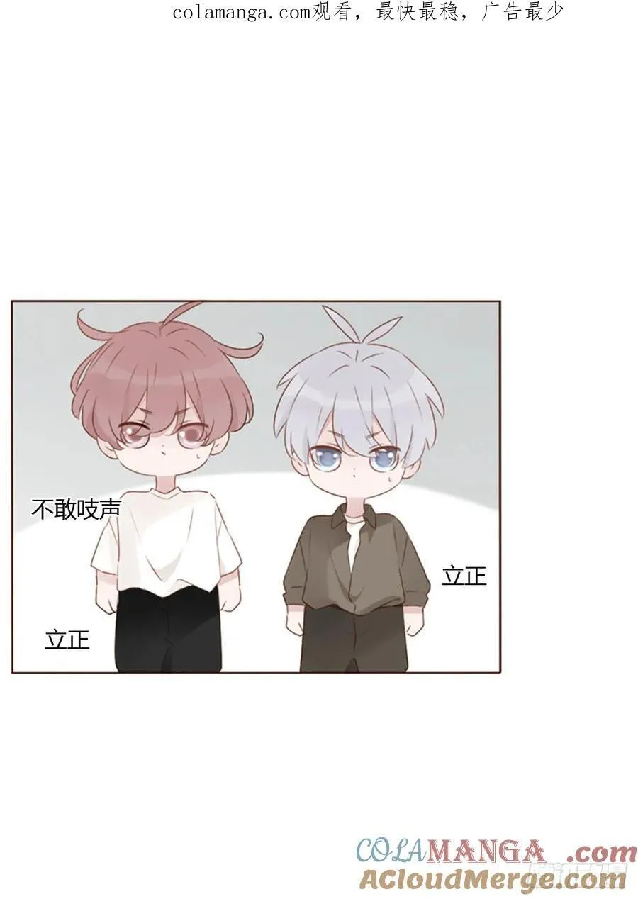 一四六章 小碗3 第1页