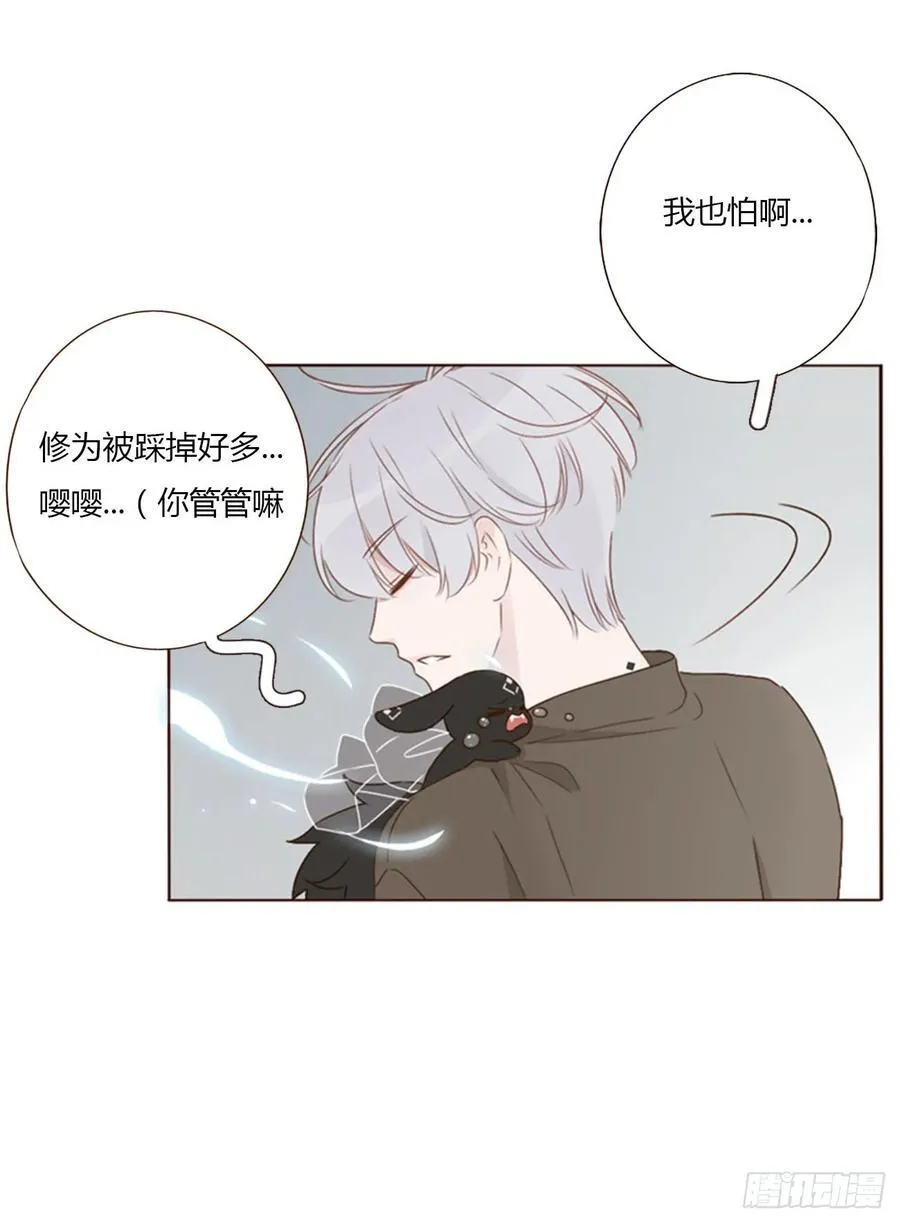 一四六章 小碗3 第4页