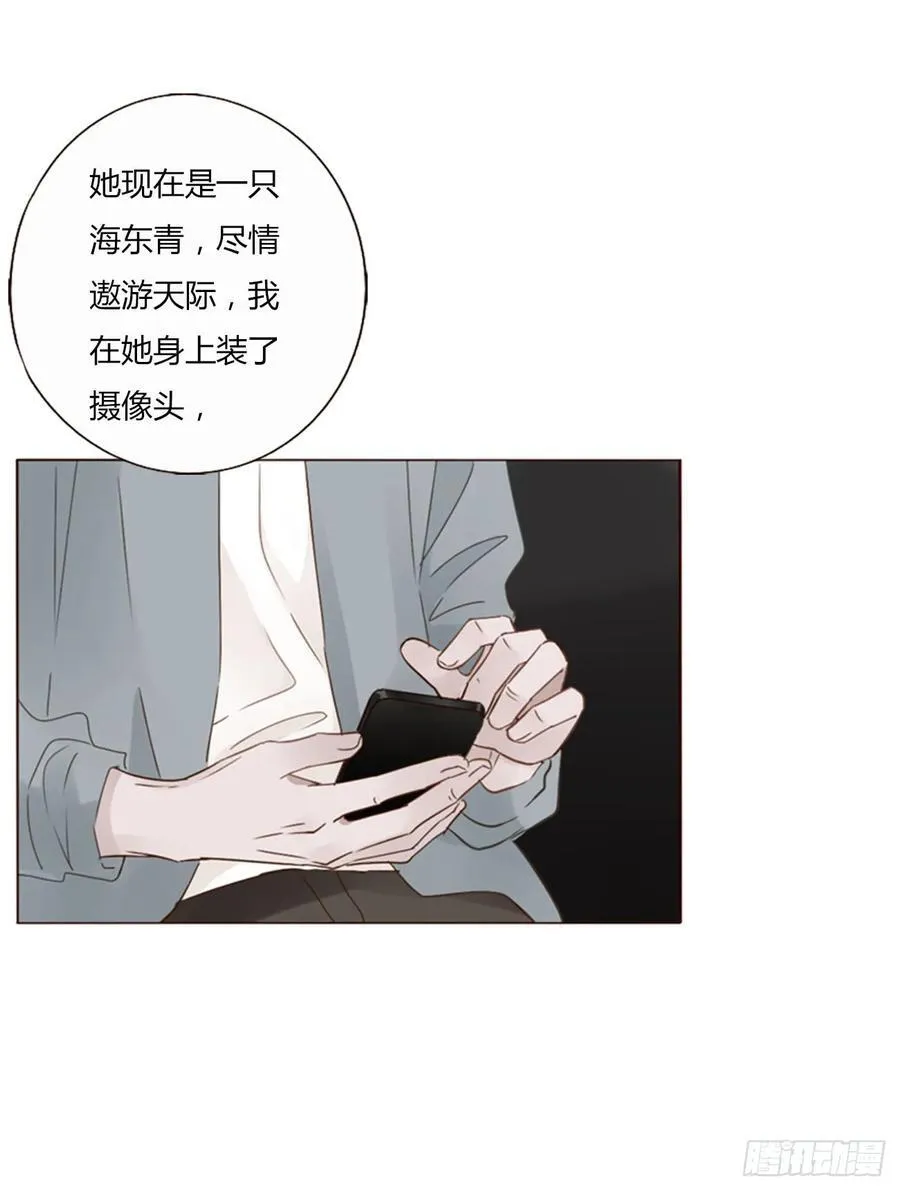 一四六章 小碗3 第24页
