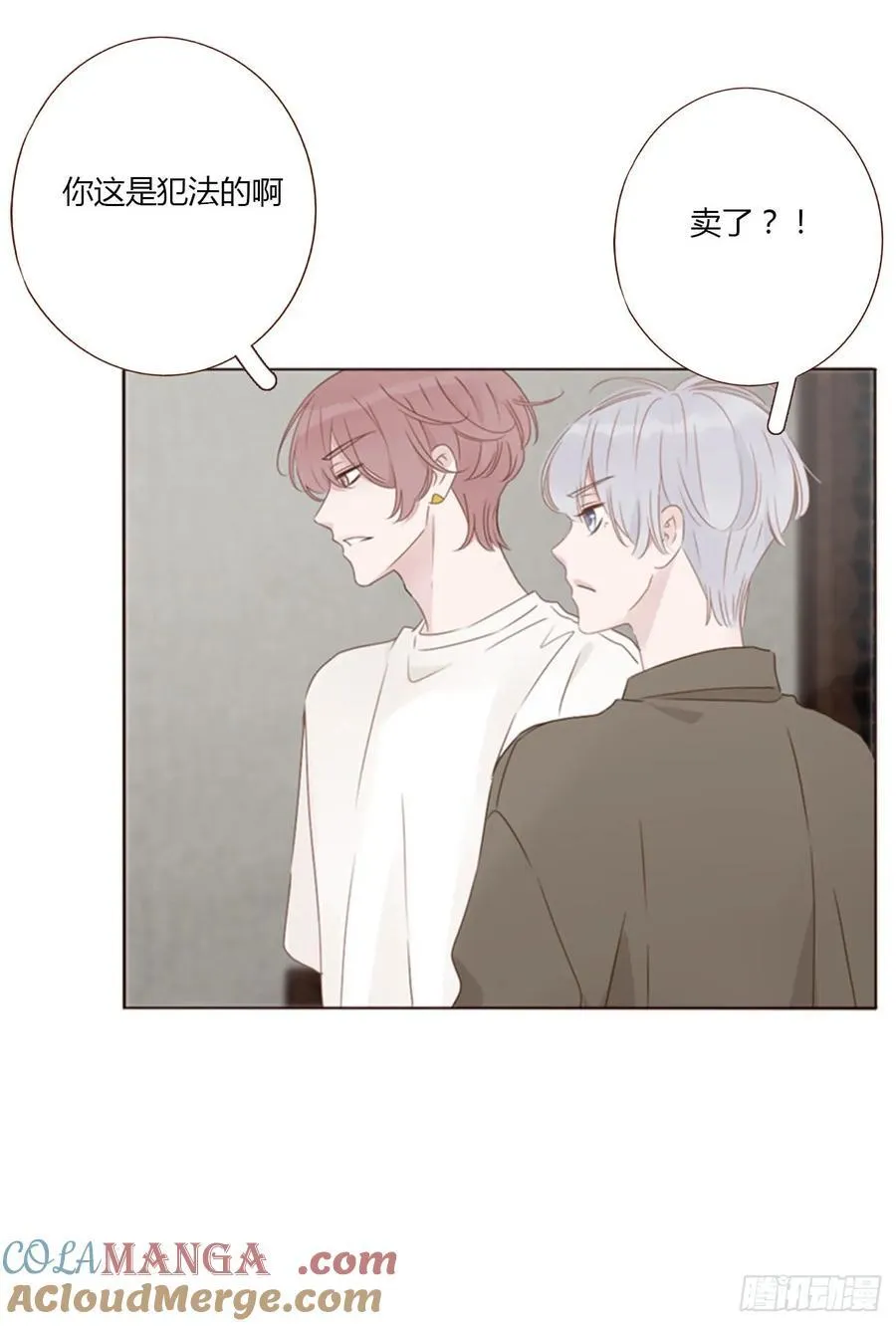一四六章 小碗3 第37页