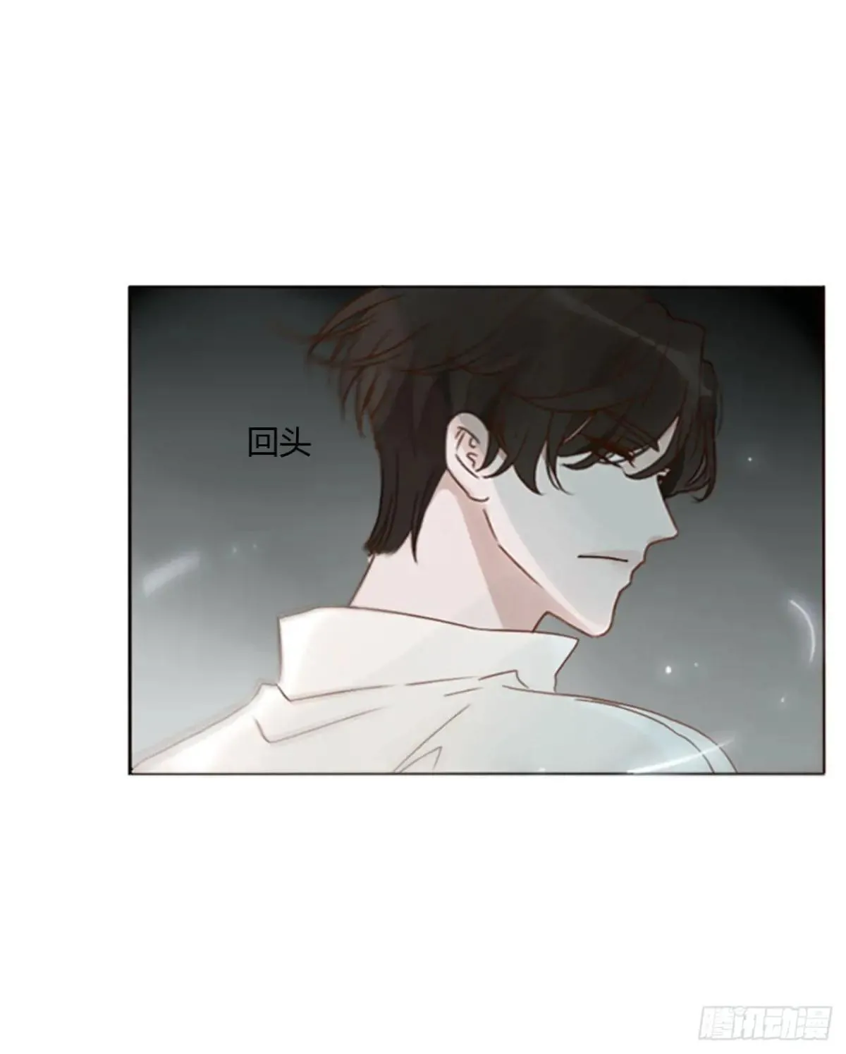 一五一章 婚约 第14页