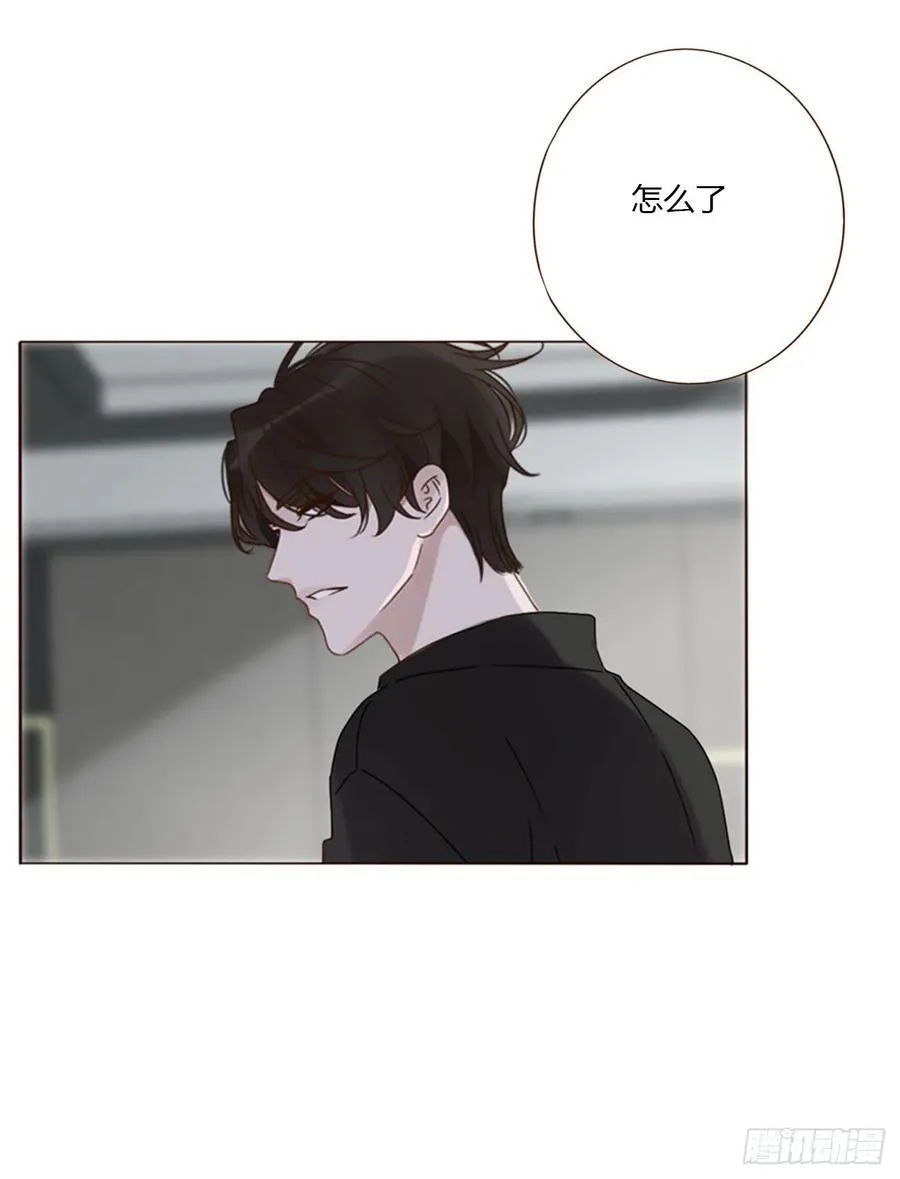 一五三章 尾指骨 第32页