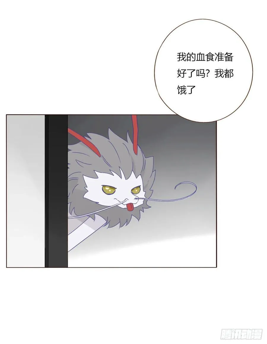 一五三章 尾指骨 第38页