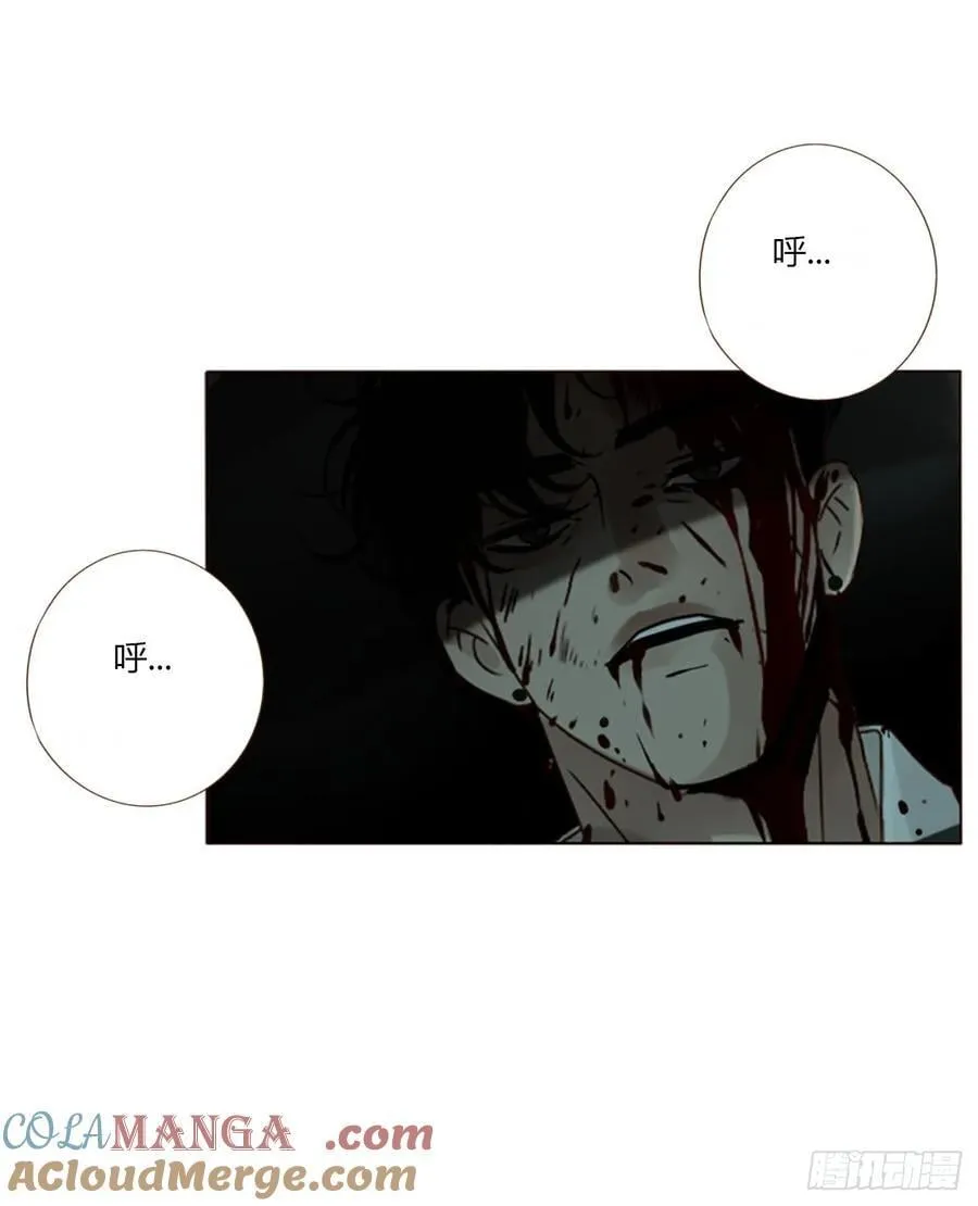 一五五章 车祸 第11页