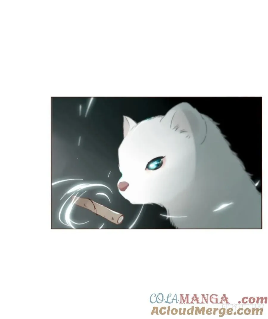 一五五章 车祸 第23页
