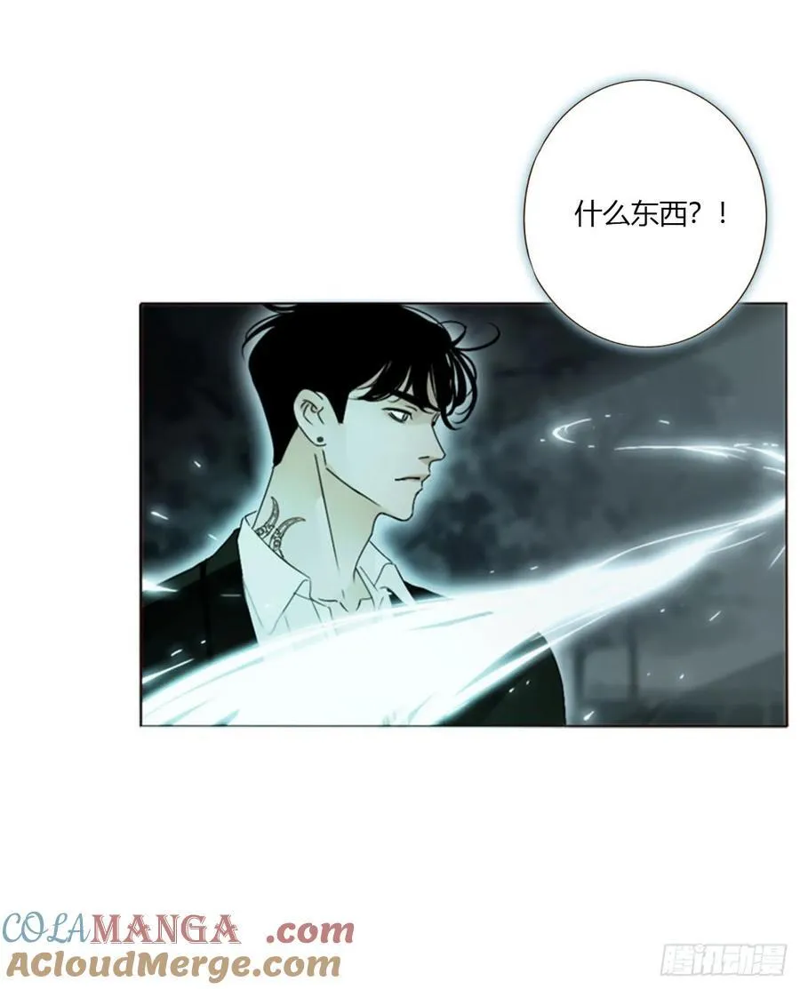 一五五章 车祸 第25页