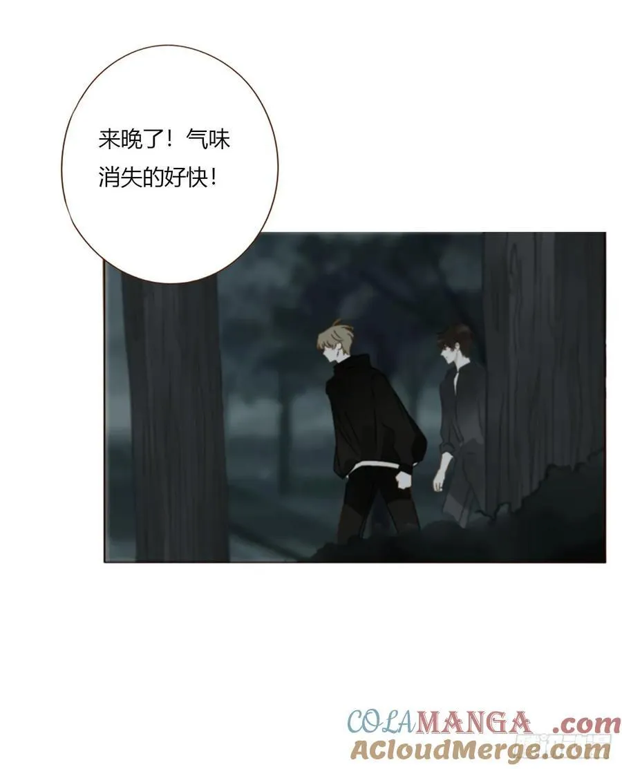 一五五章 车祸 第27页