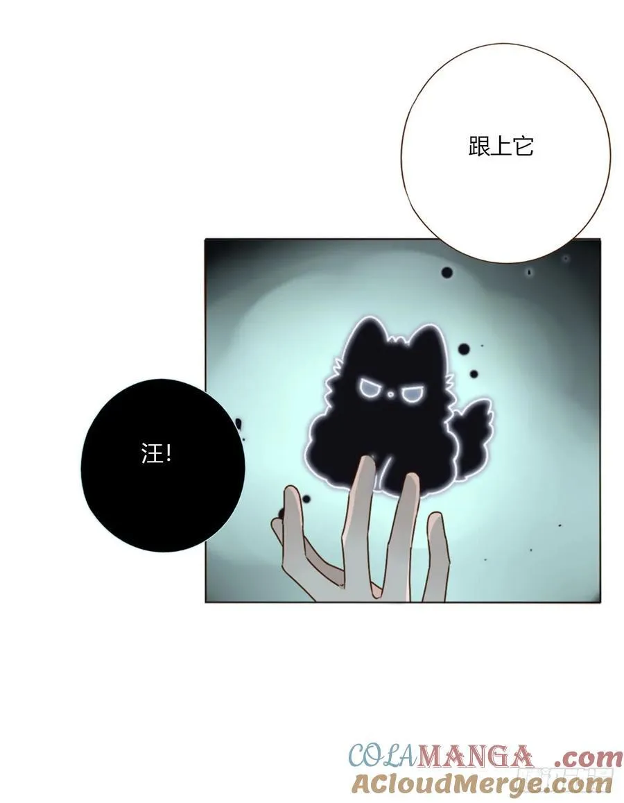 一五五章 车祸 第29页