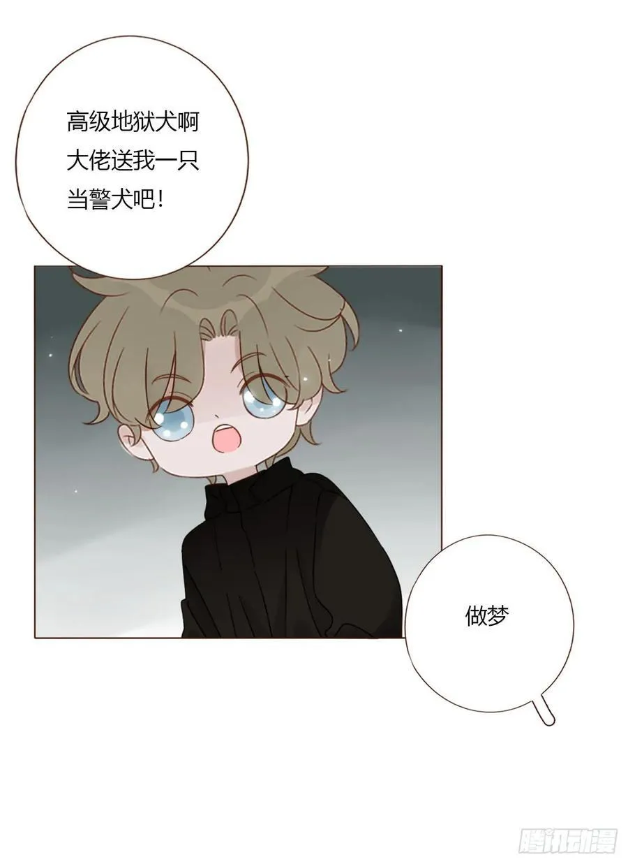 一五五章 车祸 第30页