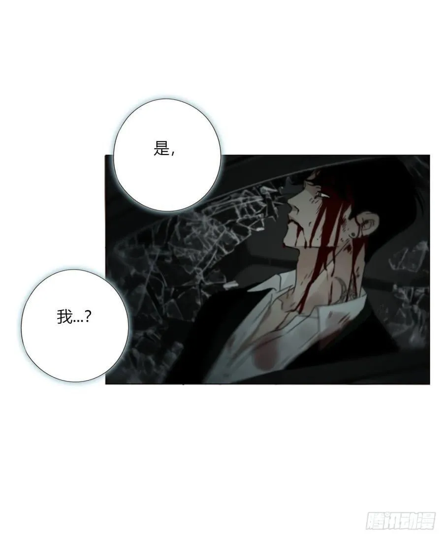 一五五章 车祸 第34页