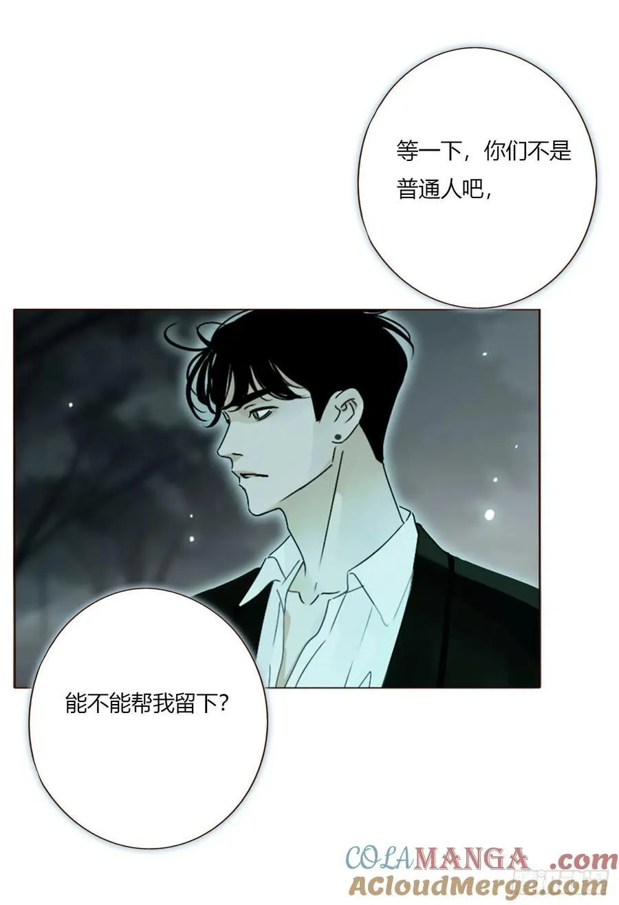 一五五章 车祸 第37页