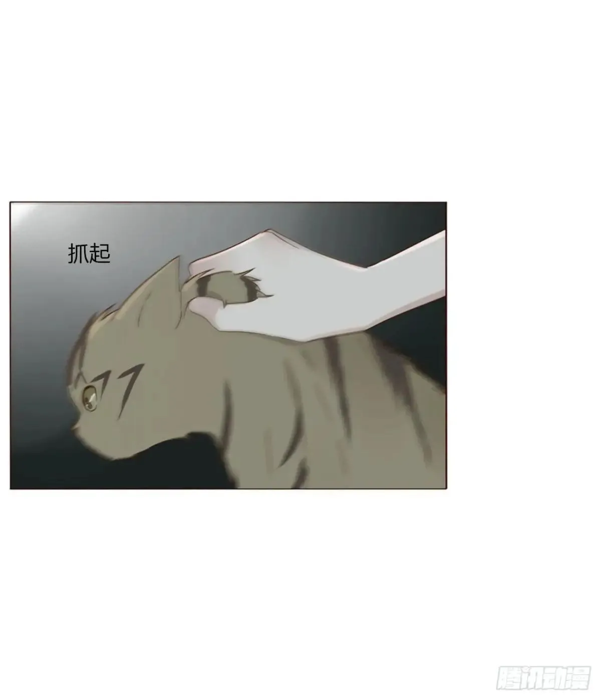 一五六章 神明 第35页