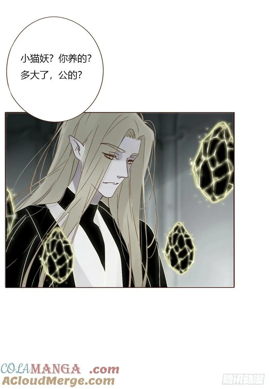 一五七章 神明2 第27页