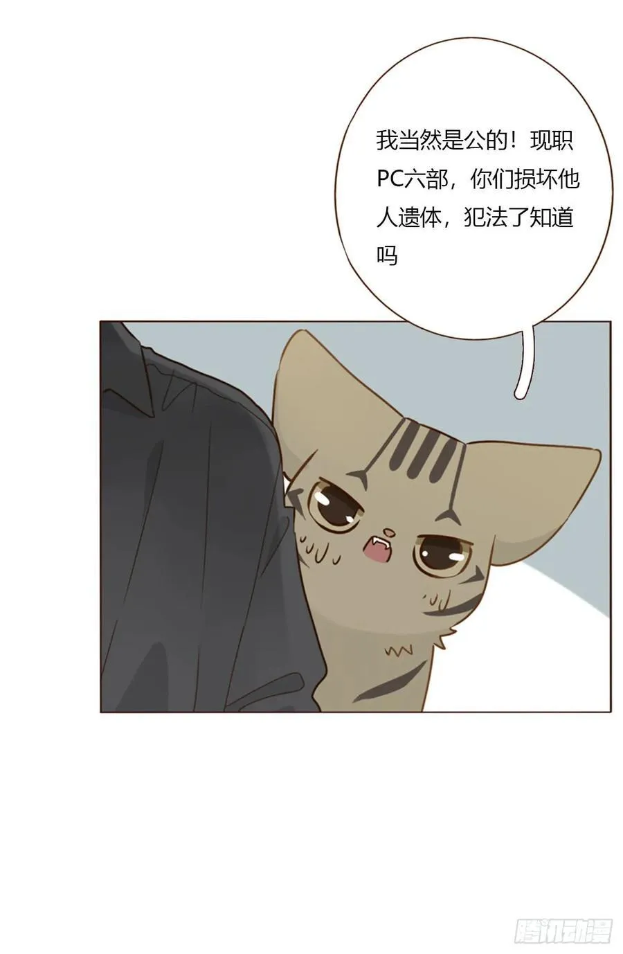 一五七章 神明2 第28页