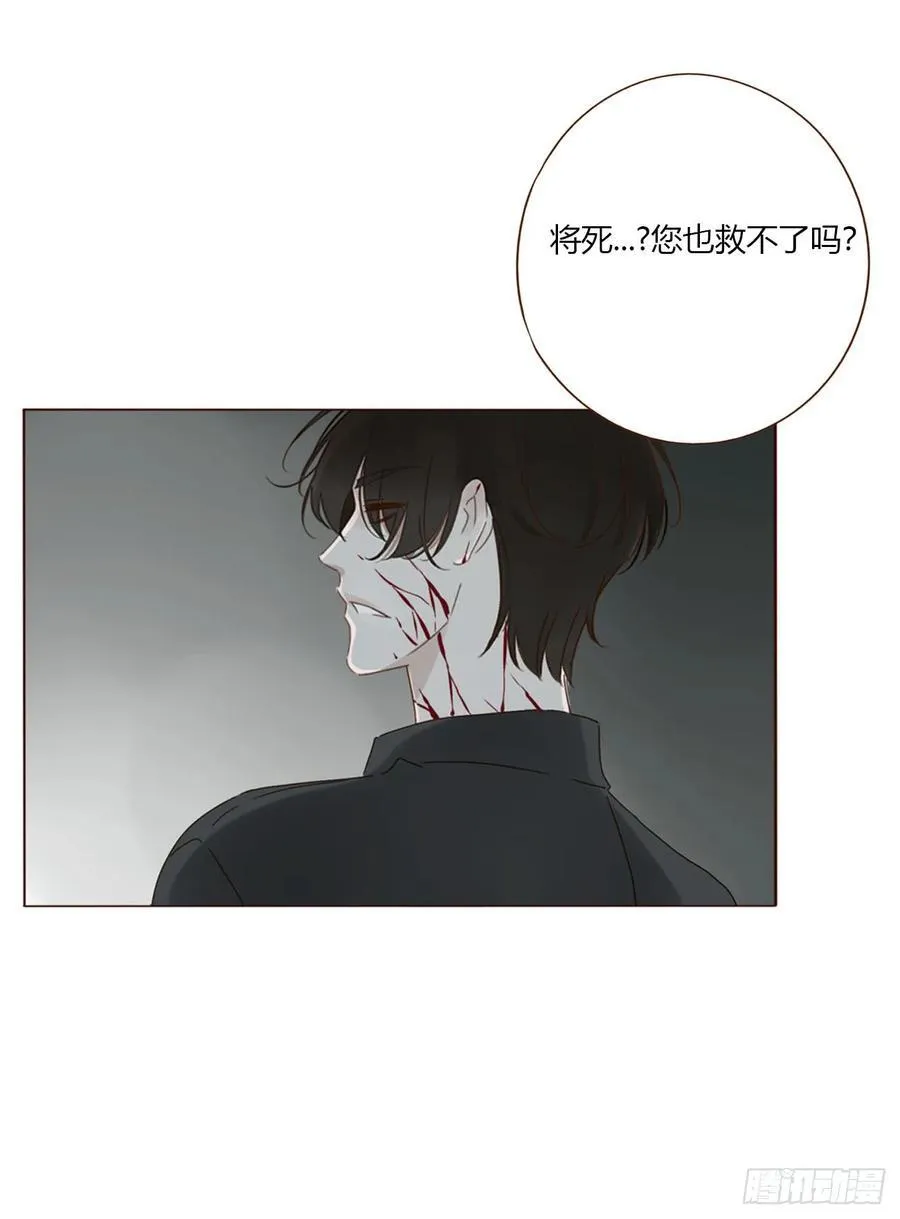 一五七章 神明2 第32页