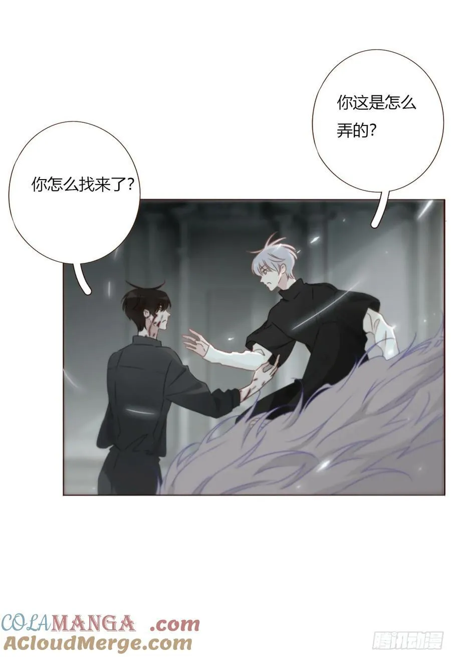 一五八章 抱抱 第3页