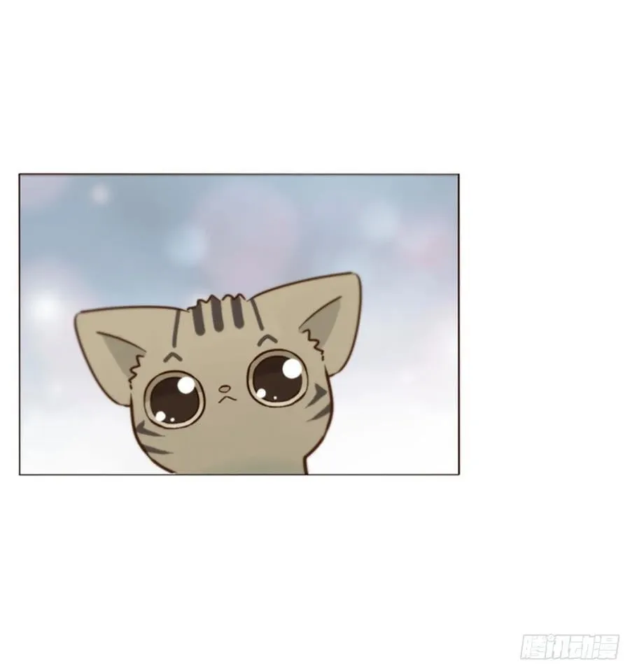 一五九章 一起休息吧 第28页