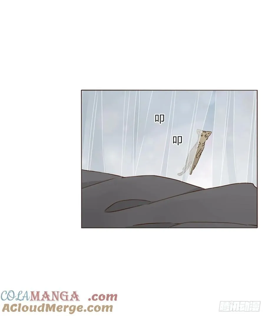 一五九章 一起休息吧 第29页