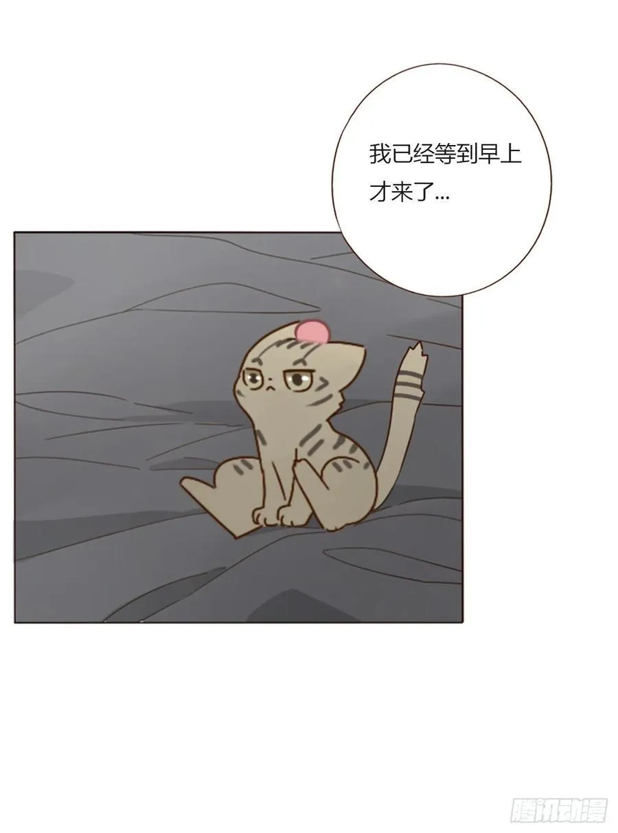 一五九章 一起休息吧 第32页