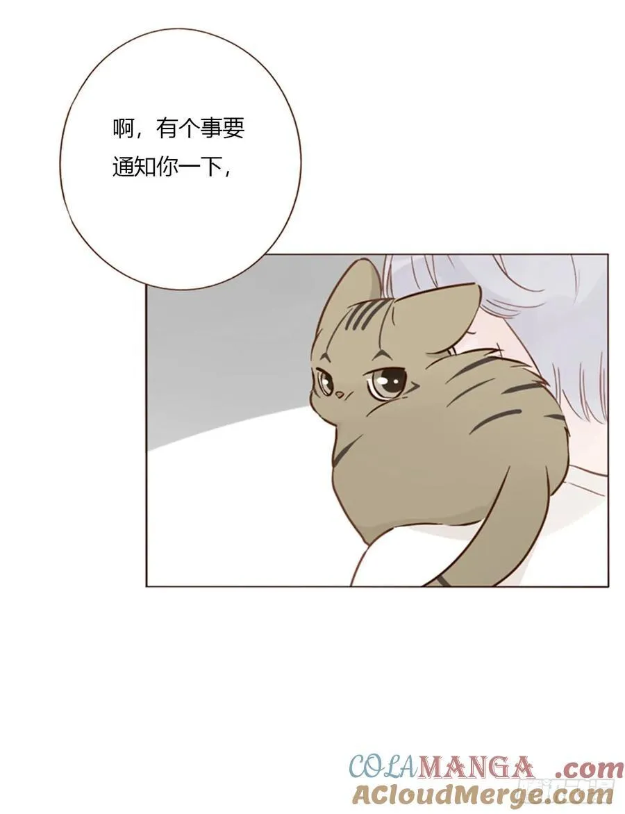 一六零章 奇怪的男孩 第21页