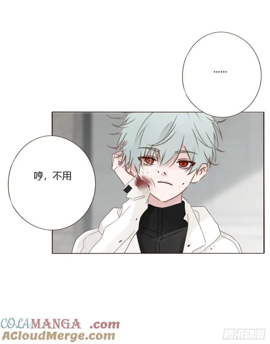 一六零章 奇怪的男孩 第29页