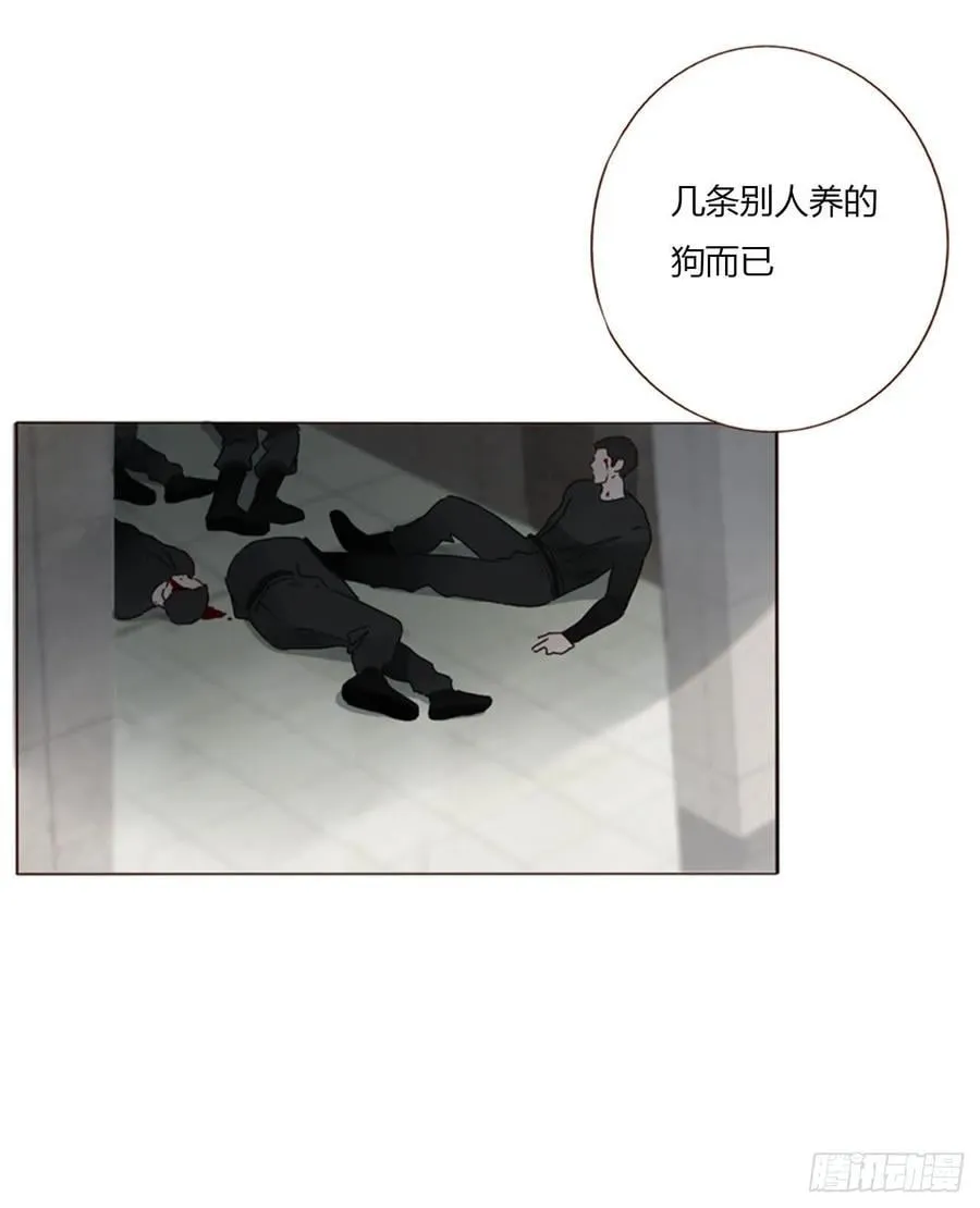 一六零章 奇怪的男孩 第30页