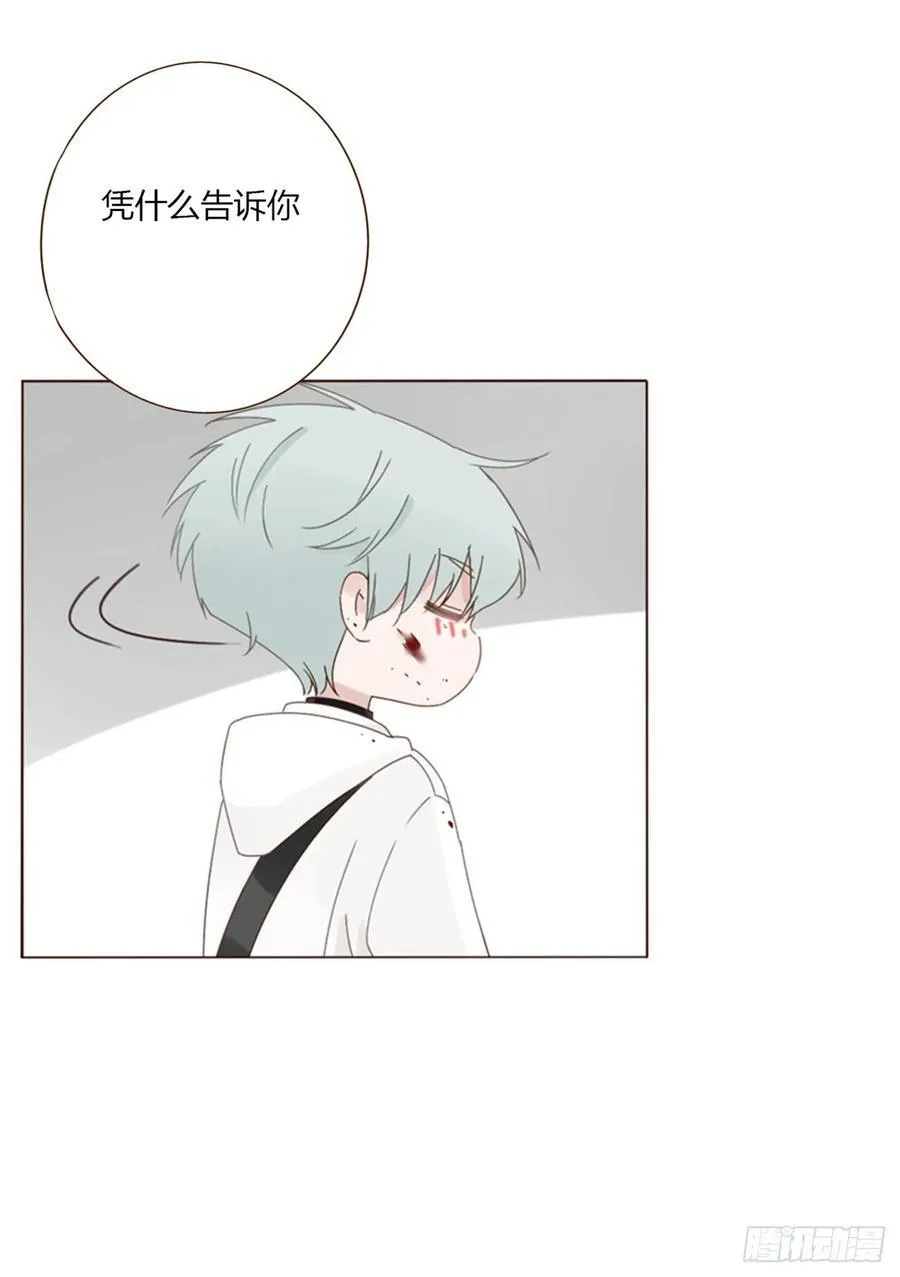 一六零章 奇怪的男孩 第34页
