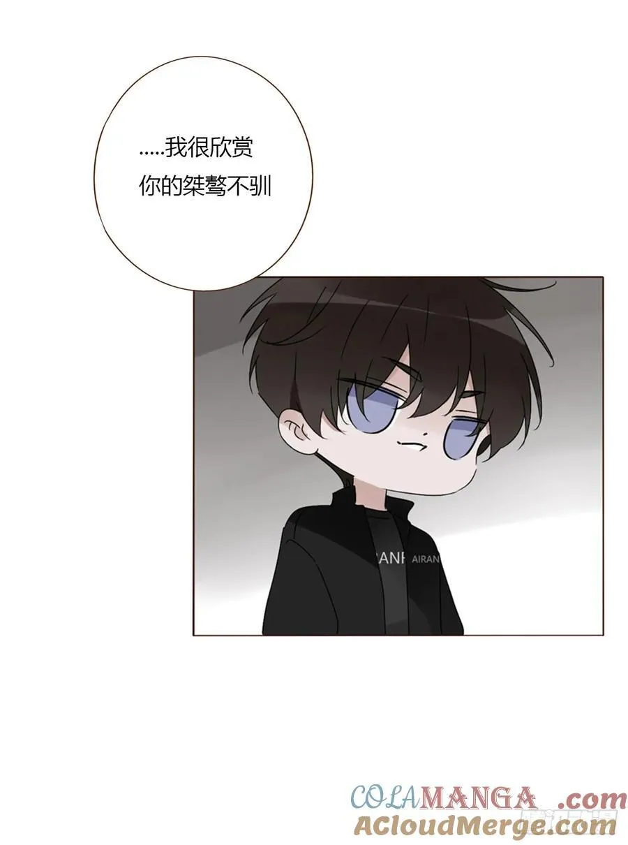 一六零章 奇怪的男孩 第35页
